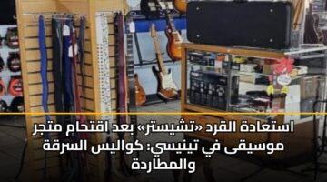 استعادة القرد «تشيستر» بعد اقتحام متجر موسيقى في تينيسي: كواليس السرقة والمطاردة