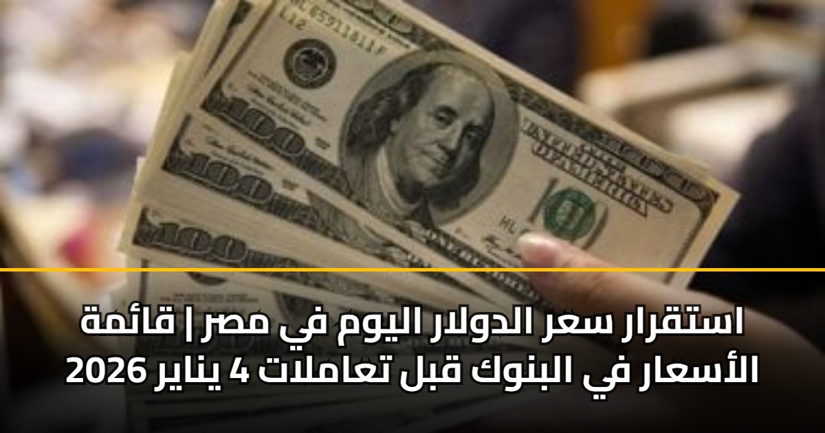 استقرار سعر الدولار اليوم في مصر | قائمة الأسعار في البنوك قبل تعاملات 4 يناير 2026