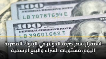 استقرار سعر صرف الدولار في البنوك المصرية اليوم: مستويات الشراء والبيع الرسمية