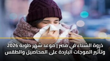 ذروة الشتاء في مصر | موعد شهر طوبة 2026 وتأثير الموجات الباردة على المحاصيل والطقس