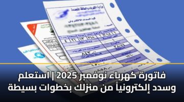فاتورة كهرباء نوفمبر 2025 | استعلم وسدد إلكترونياً من منزلك بخطوات بسيطة
