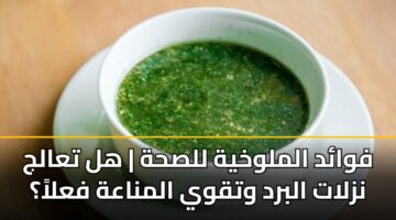 فوائد الملوخية للصحة | هل تعالج نزلات البرد وتقوي المناعة فعلاً؟