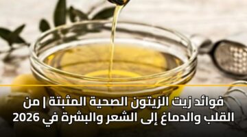فوائد زيت الزيتون الصحية المثبتة | من القلب والدماغ إلى الشعر والبشرة في 2026