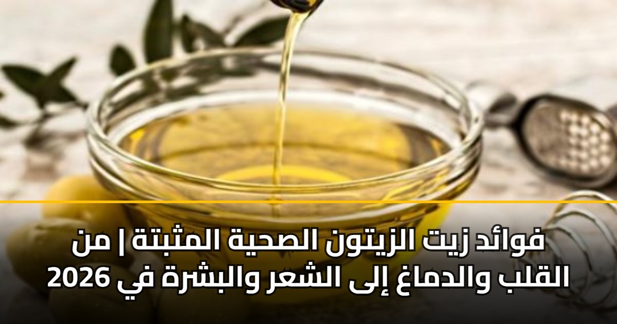 فوائد زيت الزيتون الصحية المثبتة | من القلب والدماغ إلى الشعر والبشرة في 2026