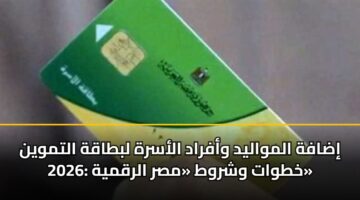 إضافة المواليد وأفراد الأسرة لبطاقة التموين 2026: خطوات وشروط «مصر الرقمية»
