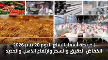 خريطة أسعار السلع اليوم 20 يناير 2026 | انخفاض الدقيق والسكر وارتفاع الذهب والحديد