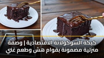 كيكة الشوكولاتة الاقتصادية | وصفة منزلية مضمونة بقوام هش وطعم غني