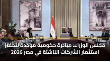 مجلس الوزراء: مبادرة حكومية موحدة لتحفيز استثمار الشركات الناشئة في مصر 2026