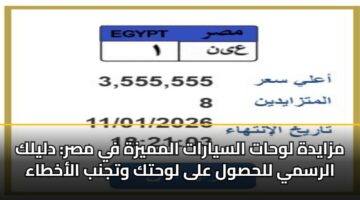 مزايدة لوحات السيارات المميزة في مصر: دليلك الرسمي للحصول على لوحتك وتجنب الأخطاء