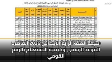 نتيجة الصف الرابع الابتدائي 2026 القاهرة: الموعد الرسمي وكيفية الاستعلام بالرقم القومي
