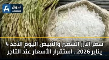 سعر الأرز الشعير والأبيض اليوم الأحد 4 يناير 2026.. استقرار الأسعار عند التاجر