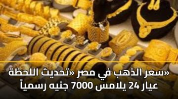 سعر الذهب في مصر «تحديث اللحظة» عيار 24 يلامس 7000 جنيه رسمياً