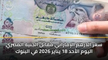 سعر الدرهم الإماراتي مقابل الجنيه المصري اليوم الأحد 18 يناير 2026 في البنوك