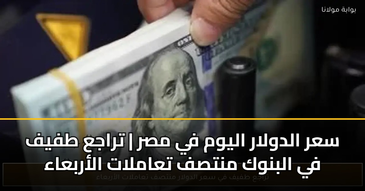 سعر الدولار اليوم في مصر | تراجع طفيف في البنوك منتصف تعاملات الأربعاء