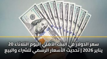 سعر الدولار في البنك الأهلي اليوم الثلاثاء 20 يناير 2026 | تحديث الأسعار الرسمي للشراء والبيع