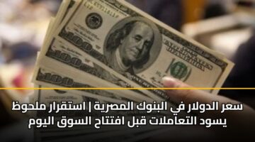 سعر الدولار في البنوك المصرية | استقرار ملحوظ يسود التعاملات قبل افتتاح السوق اليوم