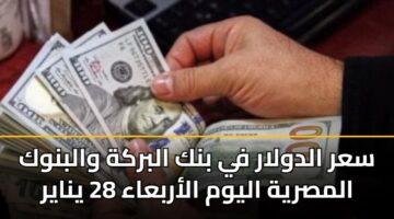 سعر الدولار في بنك البركة والبنوك المصرية اليوم الأربعاء 28 يناير