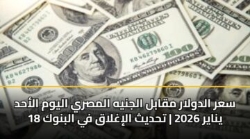 سعر الدولار مقابل الجنيه المصري اليوم الأحد 18 يناير 2026 | تحديث الإغلاق في البنوك