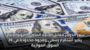 سعر الدولار مقابل الجنيه المصري اليوم الإثنين 26 يناير: استقرار رسمي وفجوة محدودة في السوق الموازية