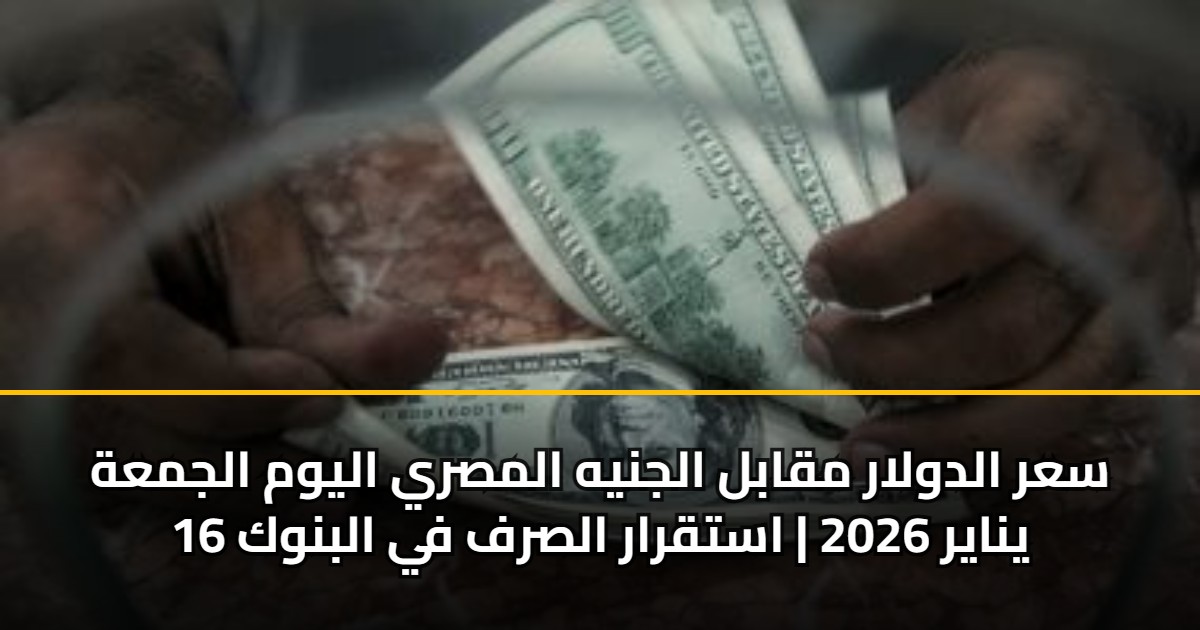 سعر الدولار مقابل الجنيه المصري اليوم الجمعة 16 يناير 2026 | استقرار الصرف في البنوك