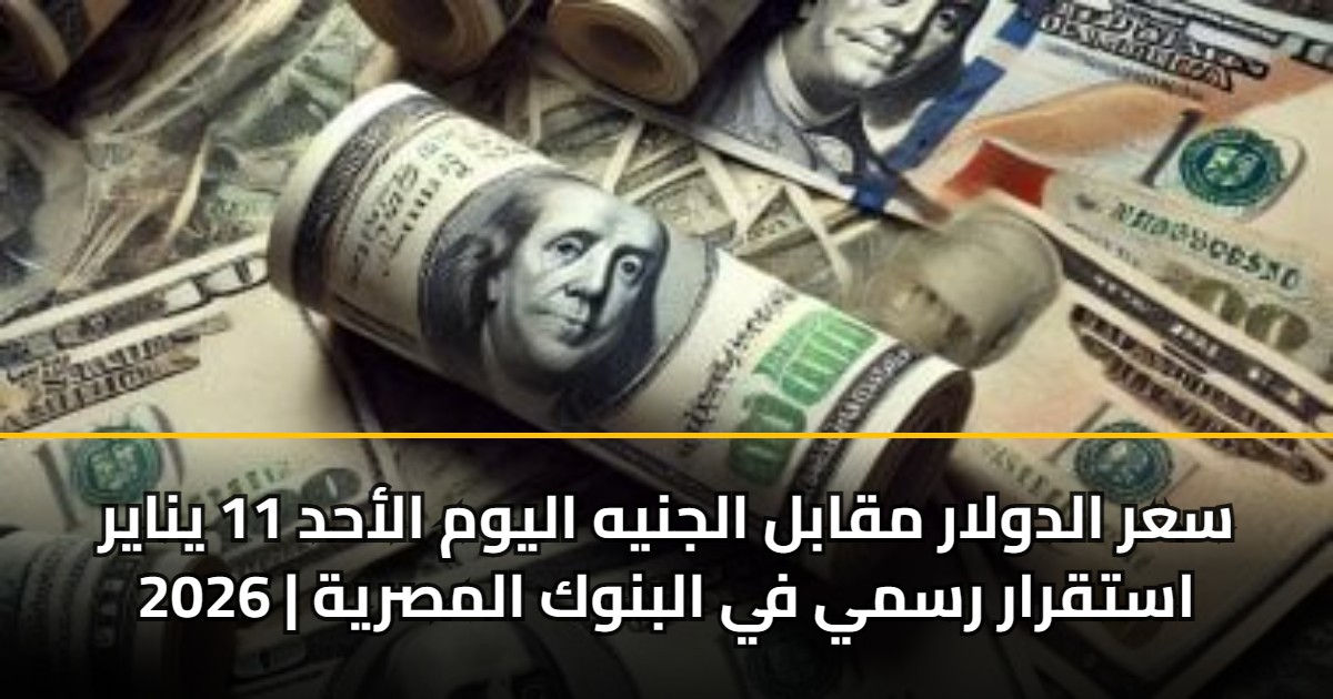 سعر الدولار مقابل الجنيه اليوم الأحد 11 يناير 2026 | استقرار رسمي في البنوك المصرية