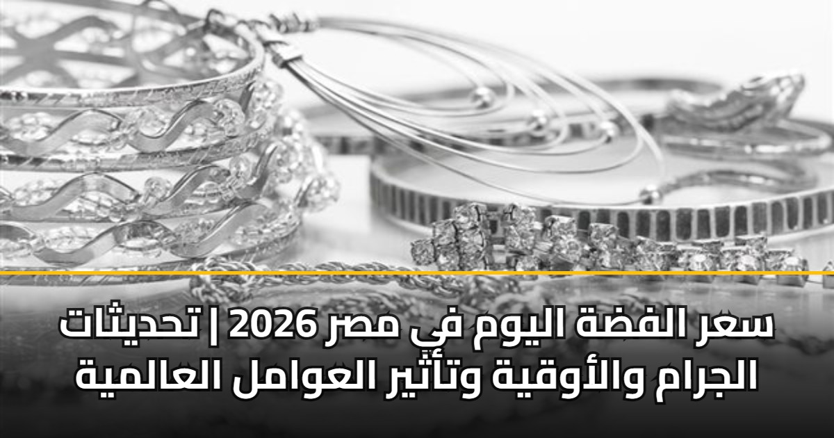 سعر الفضة اليوم في مصر 2026 | تحديثات الجرام والأوقية وتأثير العوامل العالمية 5 سعر الفضة اليوم في مصر 2026 | تحديثات الجرام والأوقية وتأثير العوامل العالمية