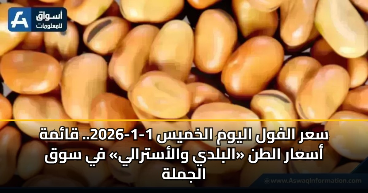 سعر الفول اليوم الخميس 1-1-2026.. قائمة أسعار الطن «البلدي والأسترالي ...