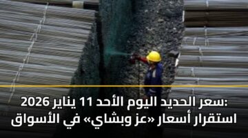 سعر الحديد اليوم الأحد 11 يناير 2026: استقرار أسعار «عز وبشاي» في الأسواق
