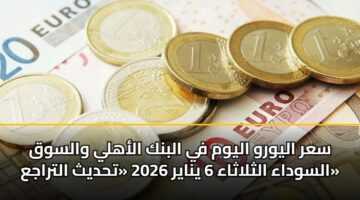 سعر اليورو اليوم في البنك الأهلي والسوق السوداء الثلاثاء 6 يناير 2026 «تحديث التراجع»