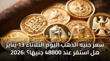سعر جنيه الذهب اليوم الثلاثاء 13 يناير 2026: هل استقر عند 48800 جنيهًا؟