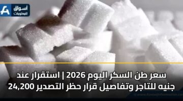 سعر طن السكر اليوم 2026 | استقرار عند 24,200 جنيه للتاجر وتفاصيل قرار حظر التصدير