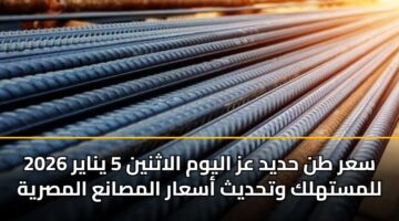 سعر طن حديد عز اليوم الاثنين 5 يناير 2026 للمستهلك وتحديث أسعار المصانع المصرية