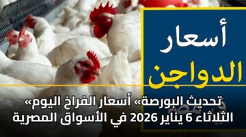 «تحديث البورصة» أسعار الفراخ اليوم الثلاثاء 6 يناير 2026 في الأسواق المصرية