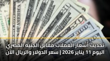 تحديث أسعار العملات مقابل الجنيه المصري اليوم 11 يناير 2026 | سعر الدولار والريال الآن