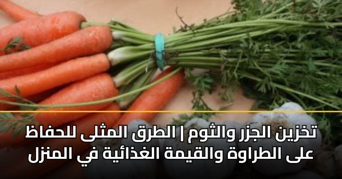 تخزين الجزر والثوم | الطرق المثلى للحفاظ على الطراوة والقيمة الغذائية في المنزل