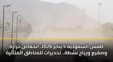 طقس السعودية 4 يناير 2026: انخفاض حرارة وصقيع ورياح نشطة.. تحذيرات للمناطق المتأثرة