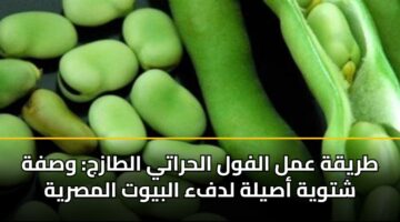طريقة عمل الفول الحراتي الطازج: وصفة شتوية أصيلة لدفء البيوت المصرية