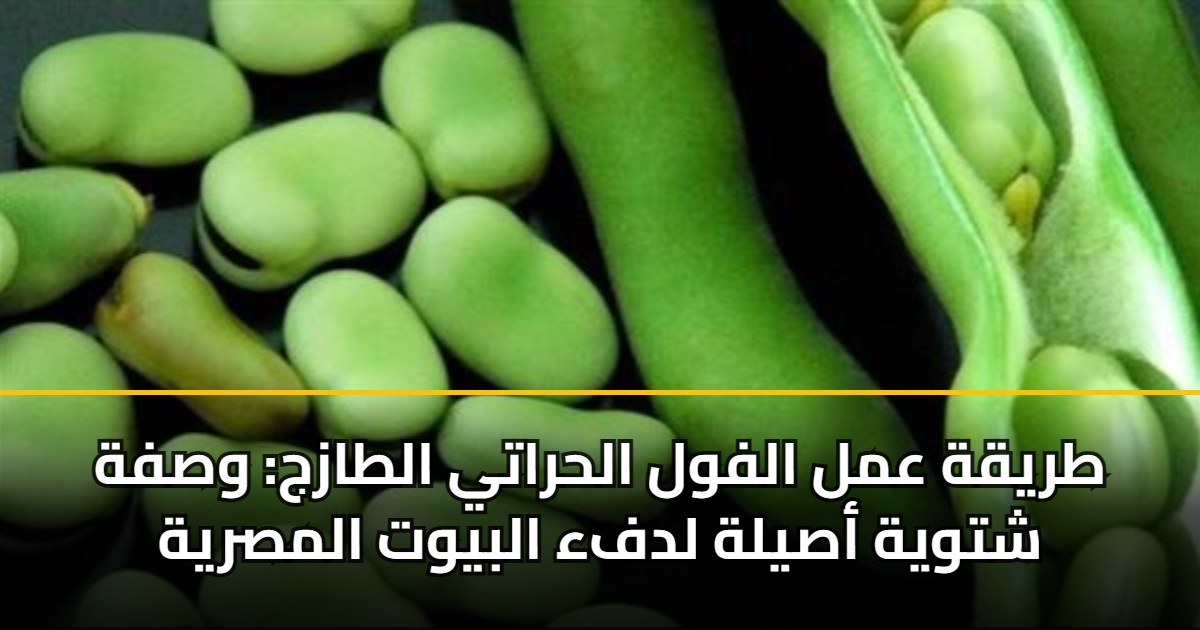 طريقة عمل الفول الحراتي الطازج: وصفة شتوية أصيلة لدفء البيوت المصرية 5 طريقة عمل الفول الحراتي الطازج: وصفة شتوية أصيلة لدفء البيوت المصرية