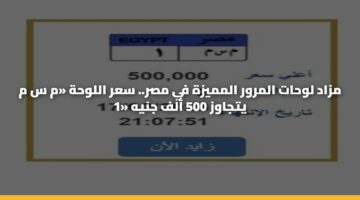 مزاد لوحات المرور المميزة في مصر.. سعر اللوحة «م س م 1» يتجاوز 500 ألف جنيه