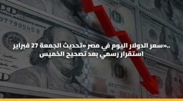 سعر الدولار اليوم في مصر «تحديث الجمعة 27 فبراير».. استقرار رسمي بعد تصحيح الخميس