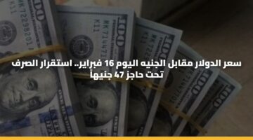 سعر الدولار مقابل الجنيه اليوم 16 فبراير.. استقرار الصرف تحت حاجز 47 جنيهاً