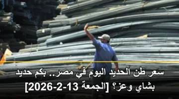 سعر طن الحديد اليوم في مصر.. بكم حديد بشاي وعز؟ [الجمعة 13-2-2026]