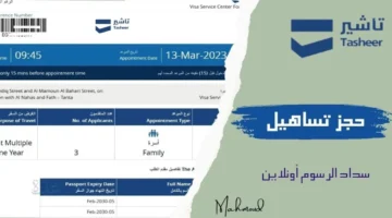 حجز موعد تساهيل طنطا 2026: الإجراءات الرسمية والروابط المعتمدة