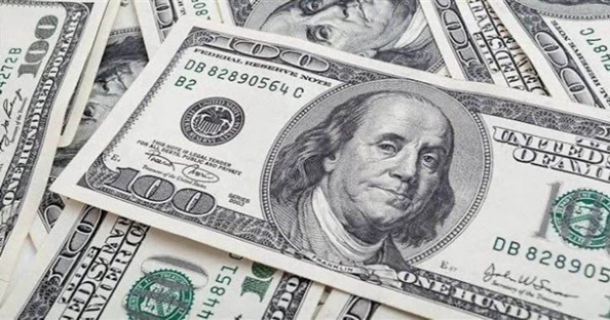 سعر الدولار في البنك المركزي المصري اليوم الثلاثاء 24 مارس 2026 « تحديث لحظي »
