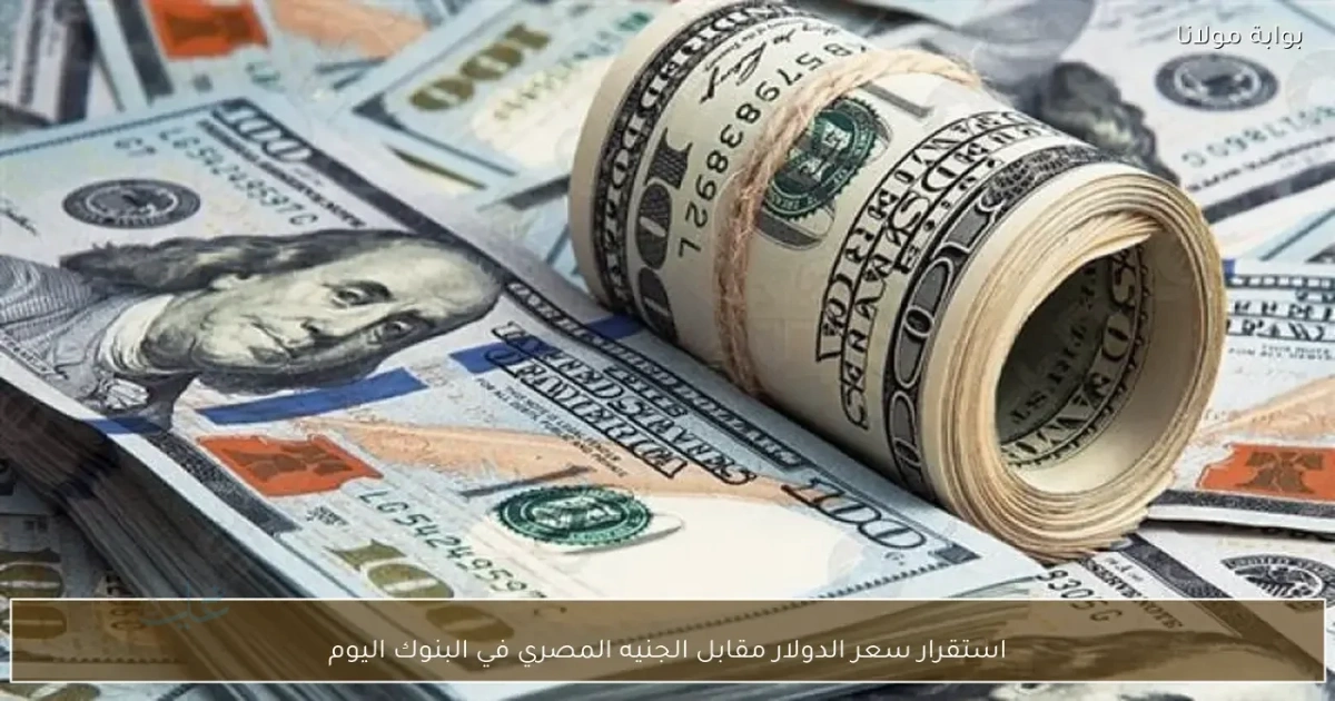 سعر الدولار في البنوك المصرية « استقرار عند مستوى 52.42 جنيه للبيع » الثلاثاء 24 مارس 2026
