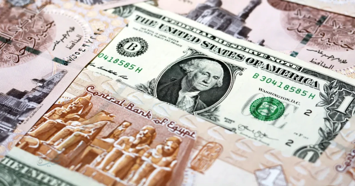 سعر الدولار اليوم في مصر الأربعاء 25 مارس 2026 « استقرار عند مستوى 52.73 جنيه » 5 سعر الدولار اليوم في مصر الأربعاء 25 مارس 2026 « استقرار عند مستوى 52.73 جنيه »