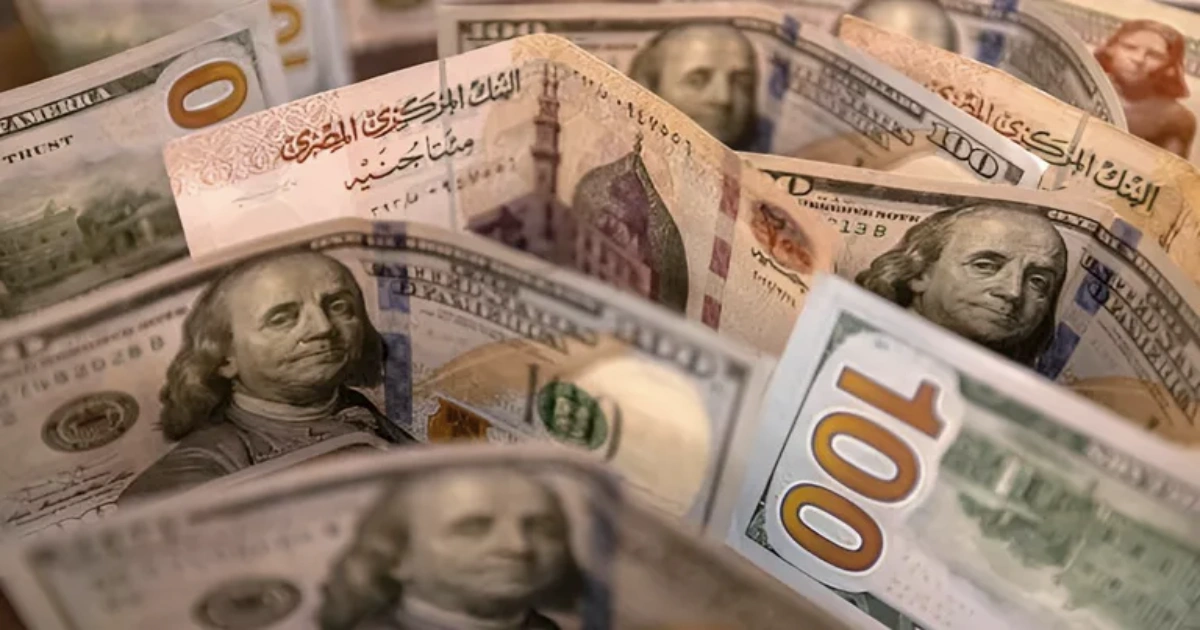 سعر الدولار في البنك الأهلي المصري اليوم يتراجع 1.12 جنيه في أول انخفاض أسبوعي 5 سعر الدولار في البنك الأهلي المصري اليوم يتراجع 1.12 جنيه في أول انخفاض أسبوعي