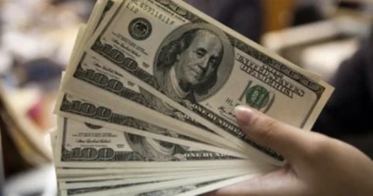 سعر الدولار اليوم في البنوك المصرية: استقرار عند مستوى 54.51 جنيه 5 سعر الدولار اليوم في البنوك المصرية: استقرار عند مستوى 54.51 جنيه