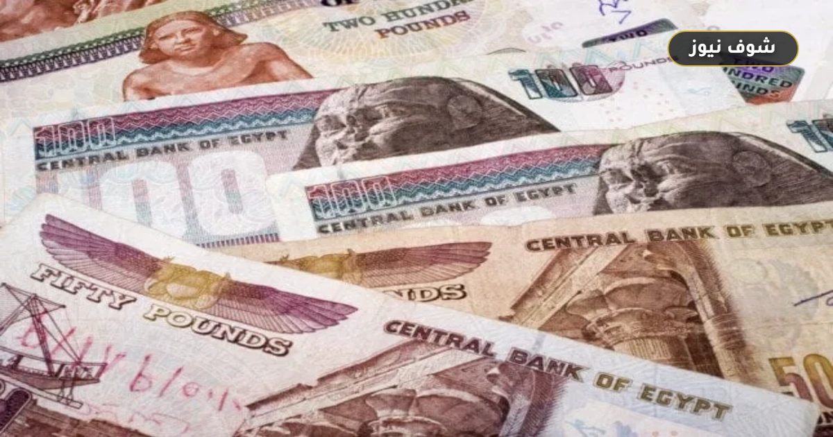 أعلى شهادات ادخار بعائد 21% تفرض واقعاً جديداً لكن العائد المتناقص يغير خريطة أرباح المليون جنيه 5 أعلى شهادات ادخار بعائد 21% تفرض واقعاً جديداً لكن العائد المتناقص يغير خريطة أرباح المليون جنيه