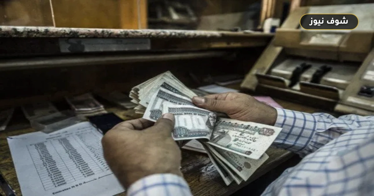 البنوك المصرية ترفع عوائد الشهادات لـ 17.5% وتنهي حقبة الفائدة المنخفضة للمدخرين